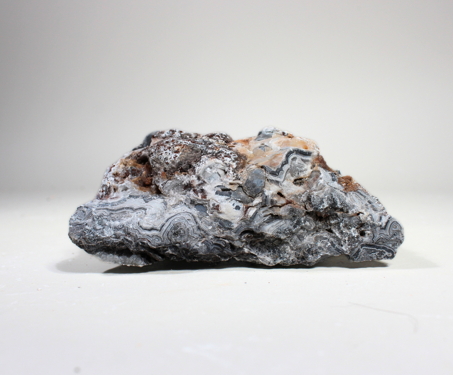 Tuxedo Lace Agate | "A" Grade | Slabbing Rough