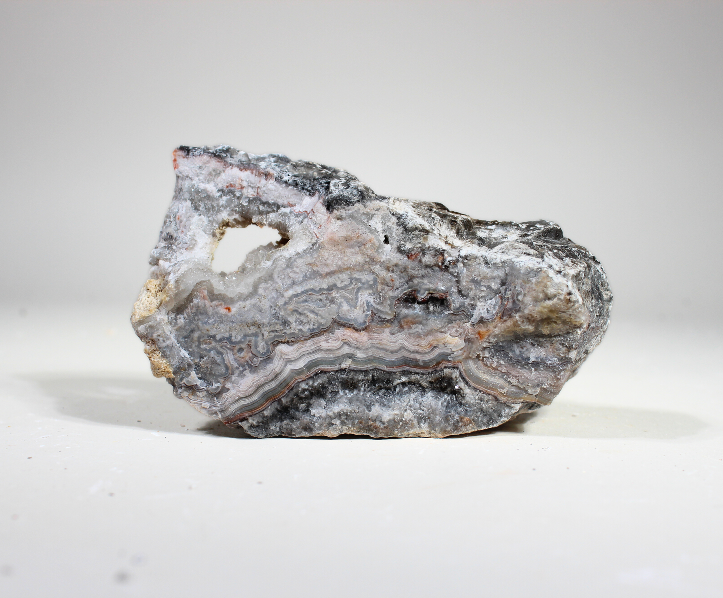 Tuxedo Lace Agate | "A" Grade | Slabbing Rough