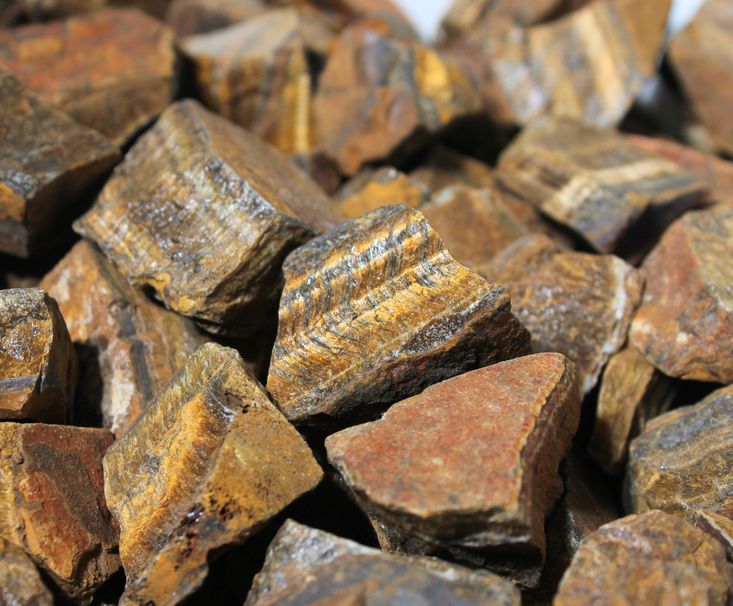 Gold Tiger's Eye | Tumbling Rough