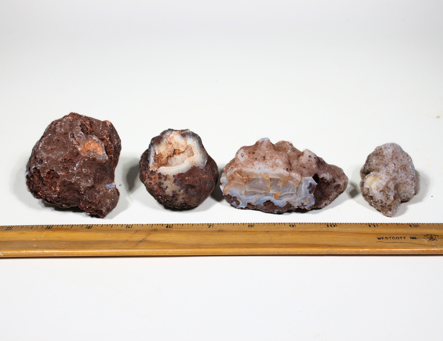 Calandria Agate Nodules | Rough Lapidary Material