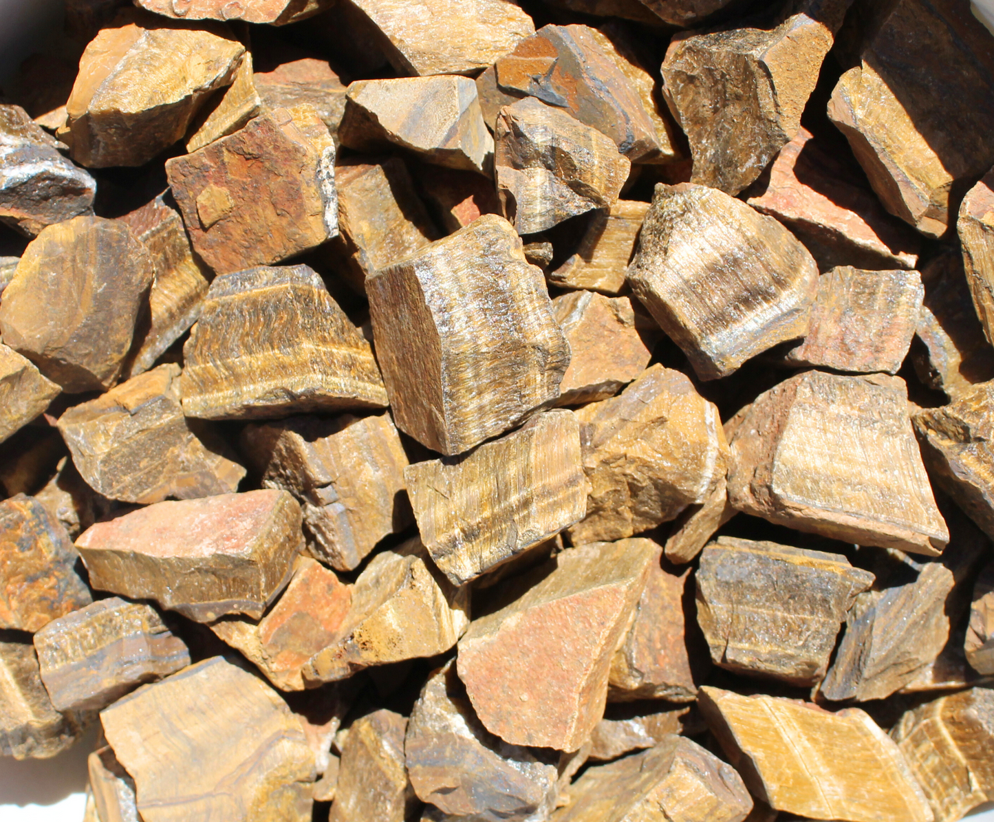 Gold Tiger's Eye | Tumbling Rough