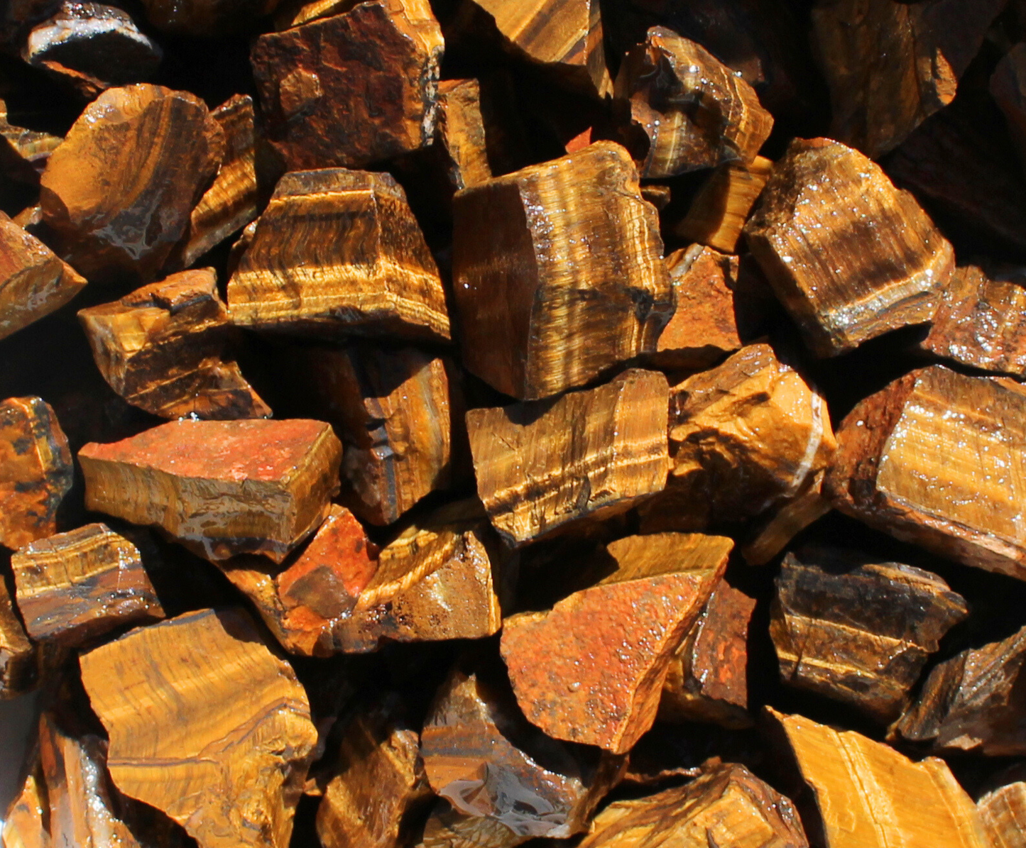 Gold Tiger's Eye | Tumbling Rough