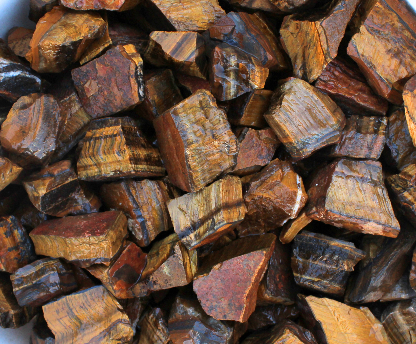 Gold Tiger's Eye | Tumbling Rough