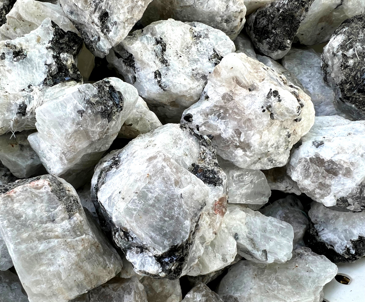 Rainbow Moonstone | Tumbling Rough
