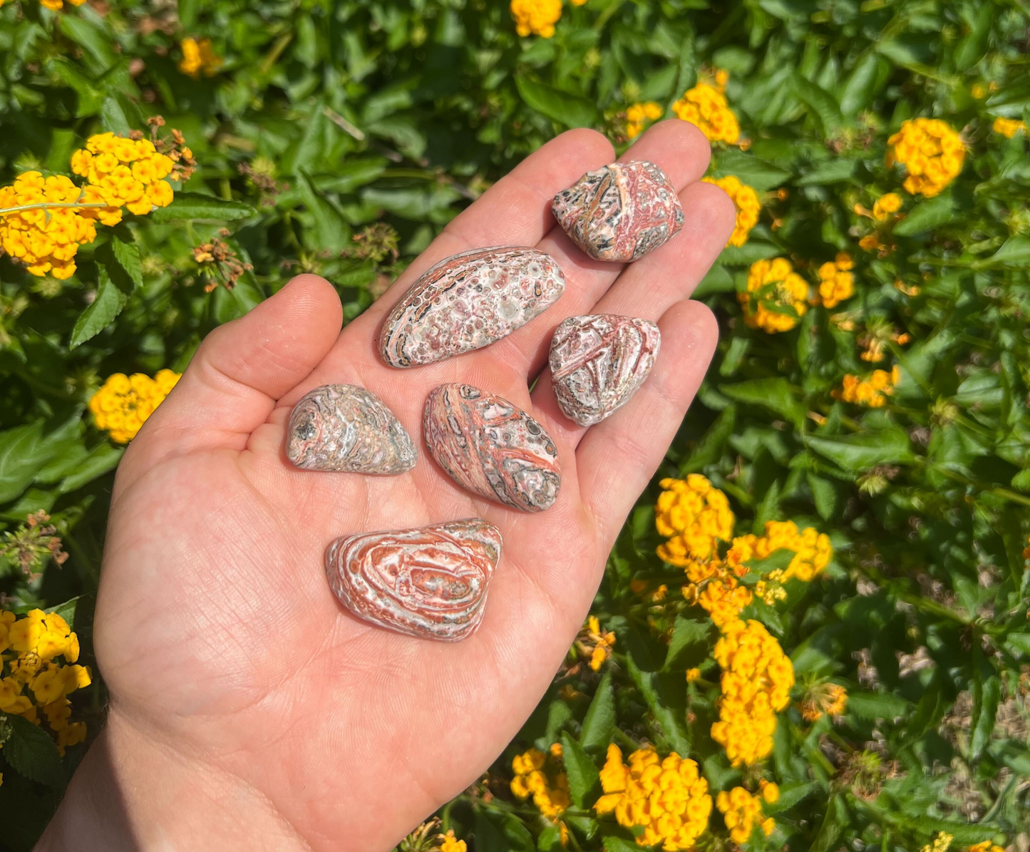 Leopard Skin Jasper - Tumbled Gemstones from Mexico
