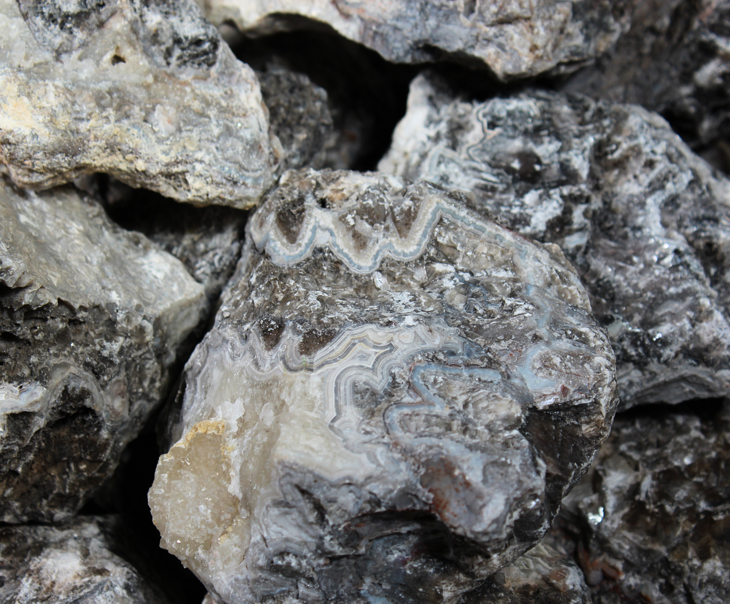 Tuxedo Lace Agate | "A" Grade | Slabbing Rough