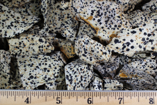 Dalmatian Jasper | Tumbling Rough