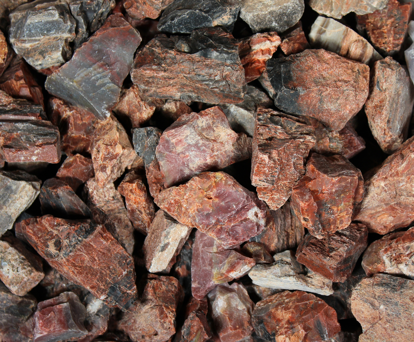 Petrified Wood "Deep Red" | Tumbling Fossil