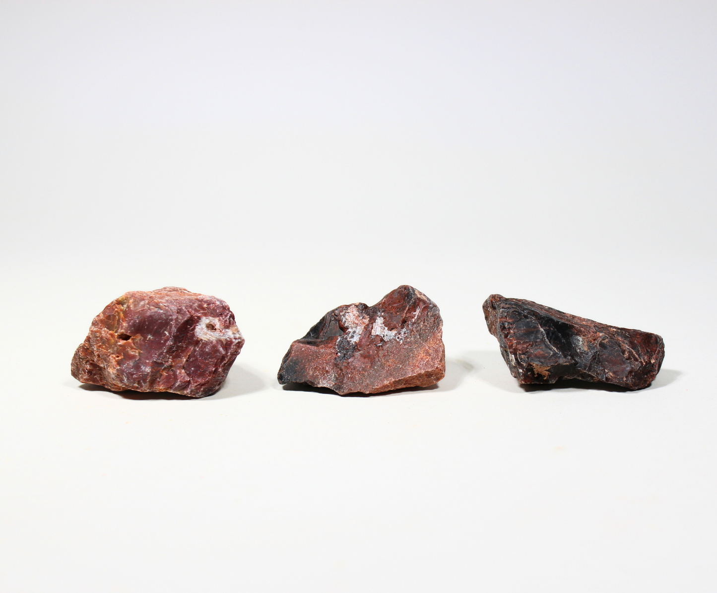 Petrified Wood "Deep Red" | Tumbling Fossil