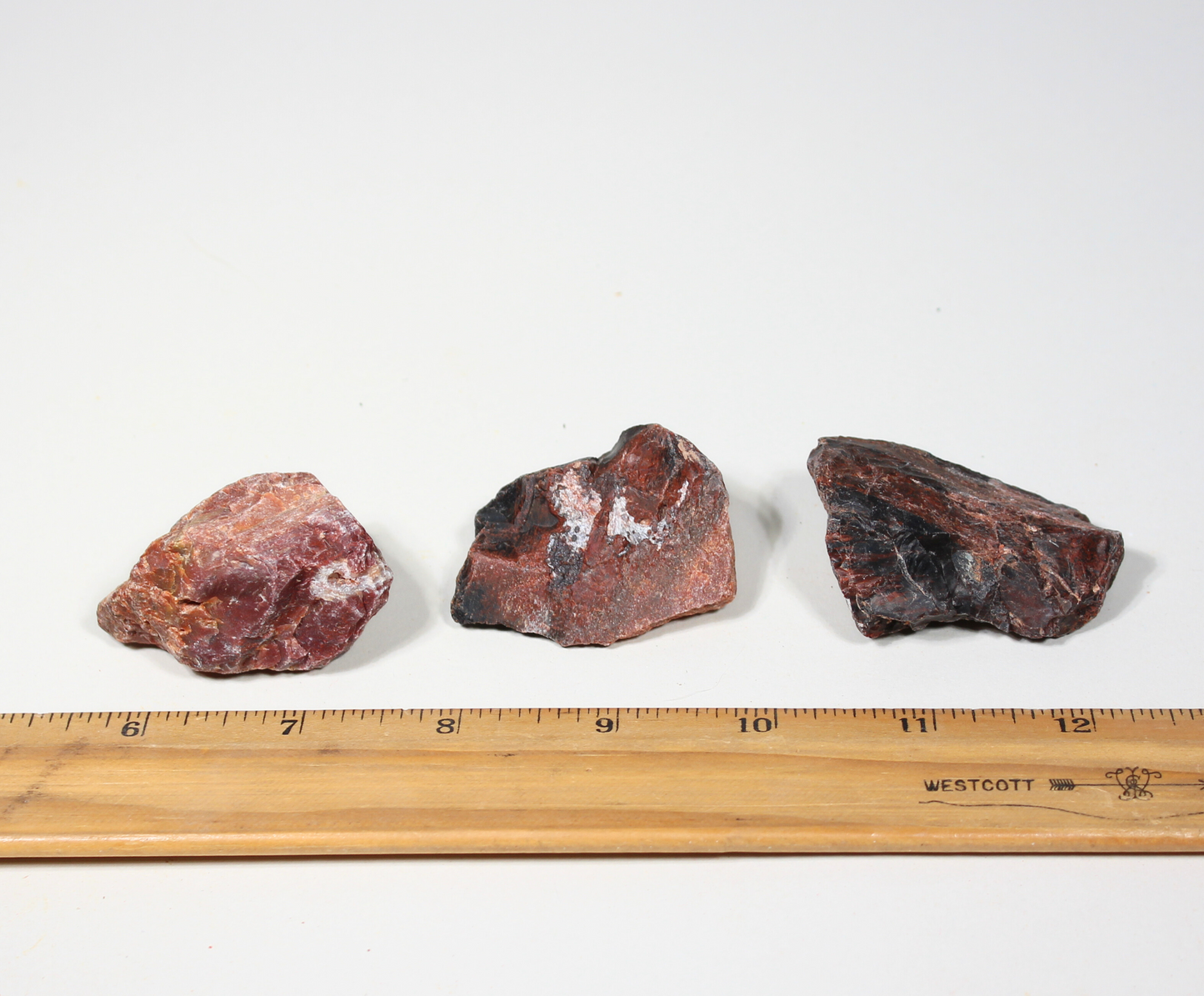 Petrified Wood "Deep Red" | Tumbling Fossil