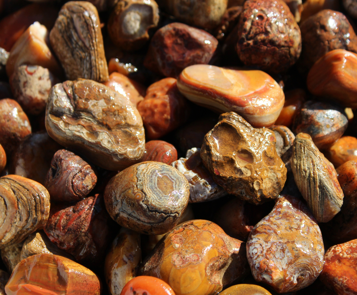 Bahia Agate | Tumbling Rough