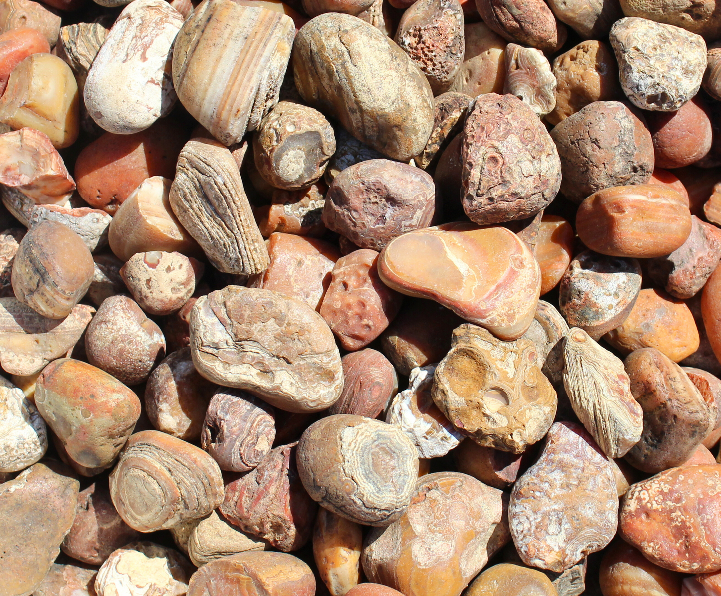 Bahia Agate | Tumbling Rough