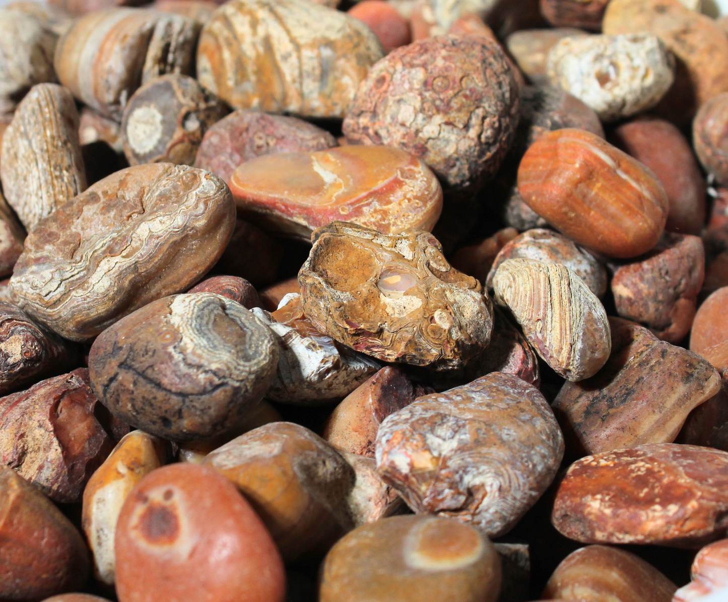 Bahia Agate | Tumbling Rough
