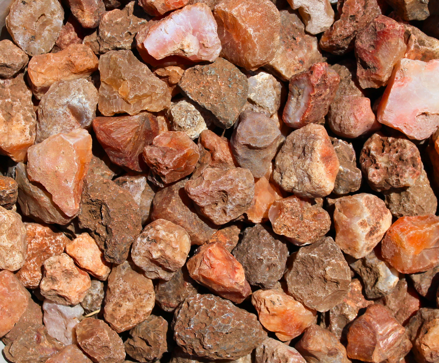 Carnelian | Tumbling Rough | Brazil