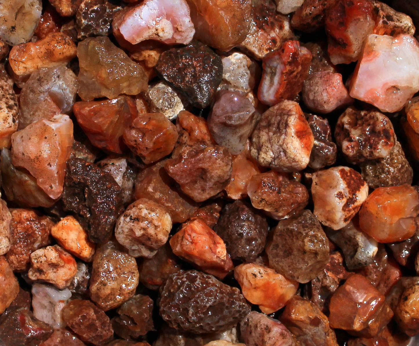 Carnelian | Tumbling Rough | Brazil