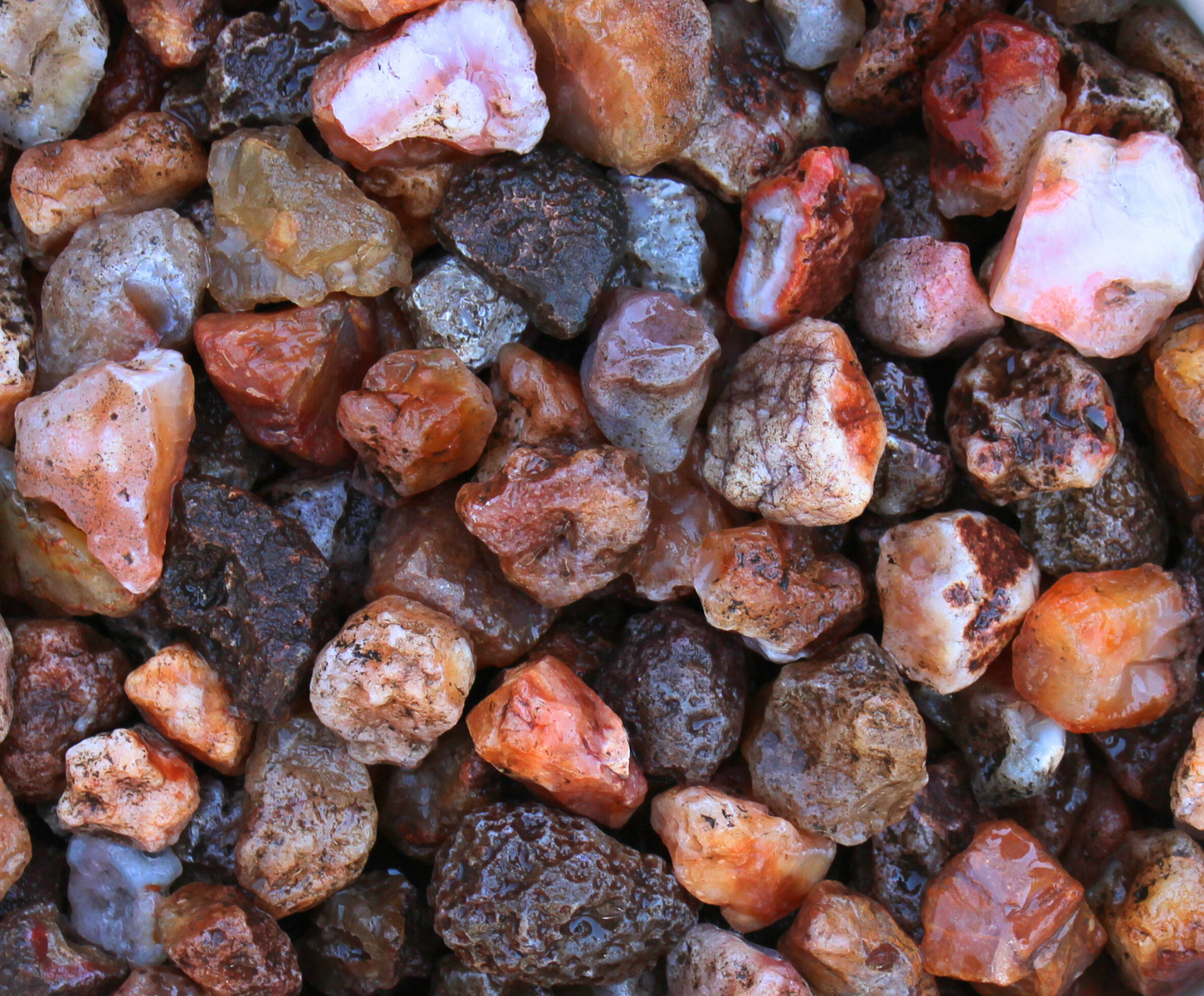 Carnelian | Tumbling Rough | Brazil
