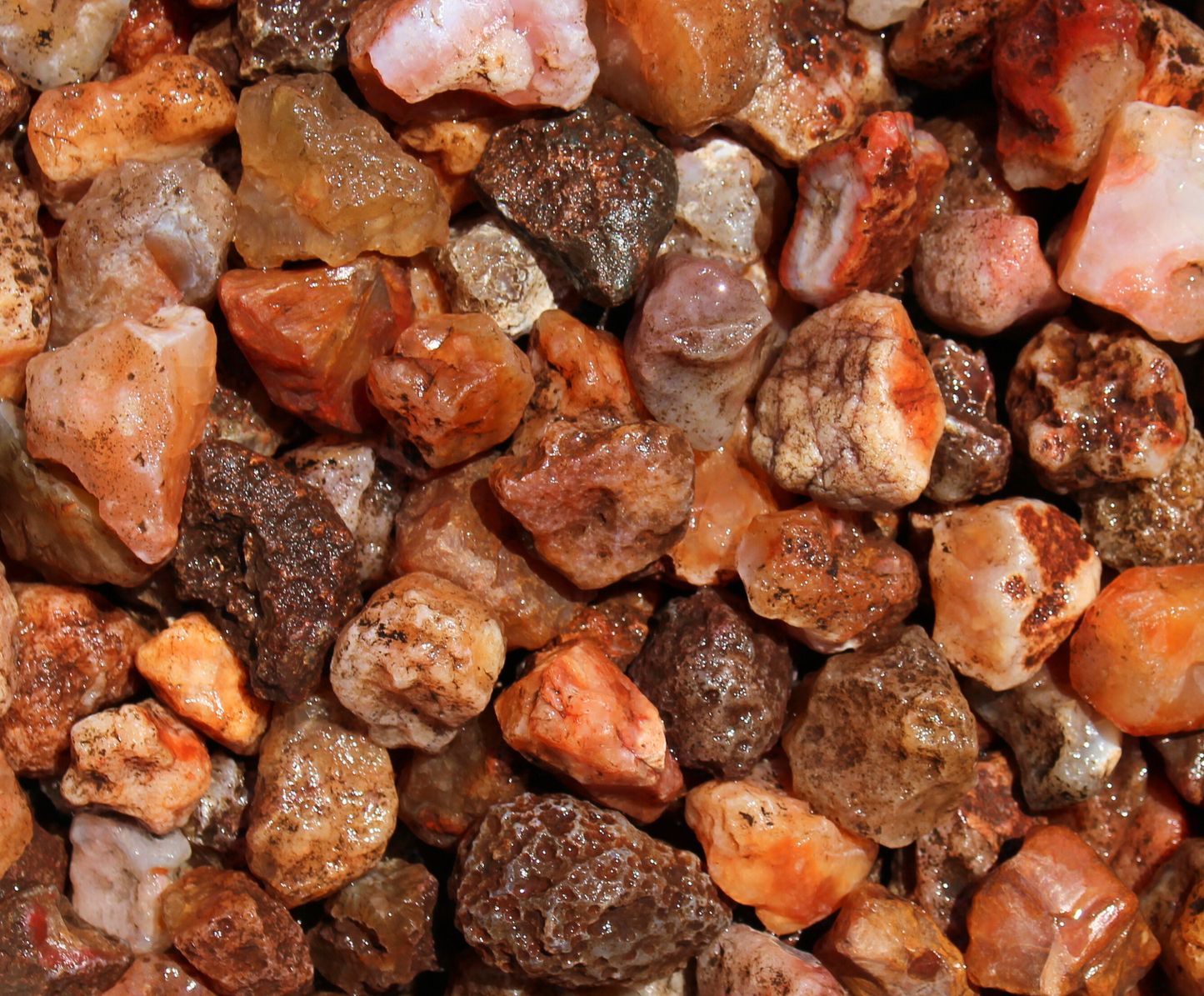 Carnelian | Tumbling Rough | Brazil