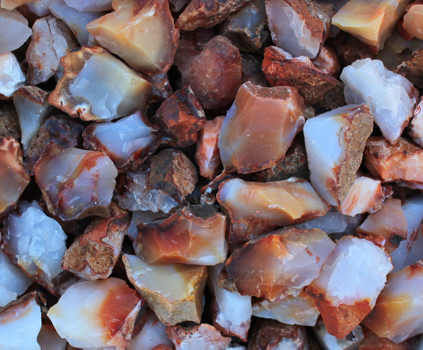 Carnelian | Tumbling Rough | Madagascar