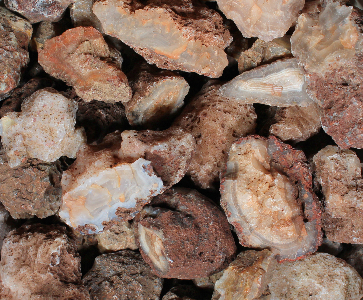 Calandria Agate Nodules | Rough Lapidary Material
