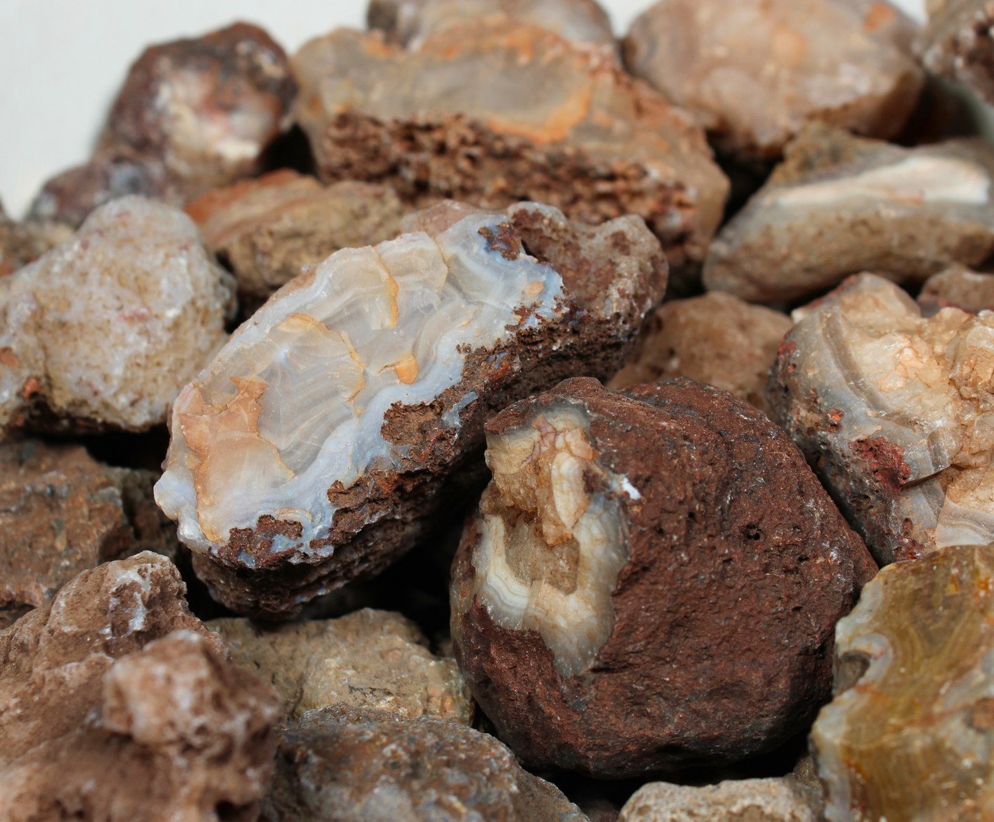 Calandria Agate Nodules | Rough Lapidary Material