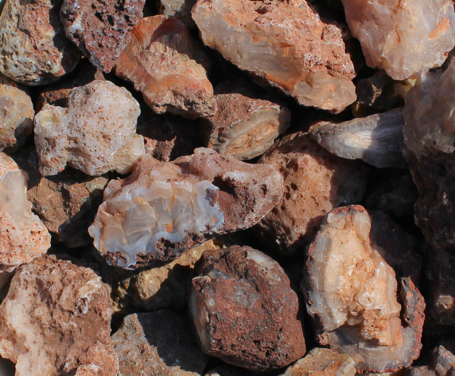 Calandria Agate Nodules | Rough Lapidary Material