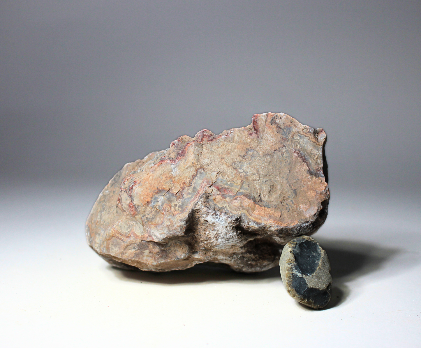 Crazy Lace Agate Specimen #G1 | X-Large Piece for Lapidary, Cabochons, Knapping and Display