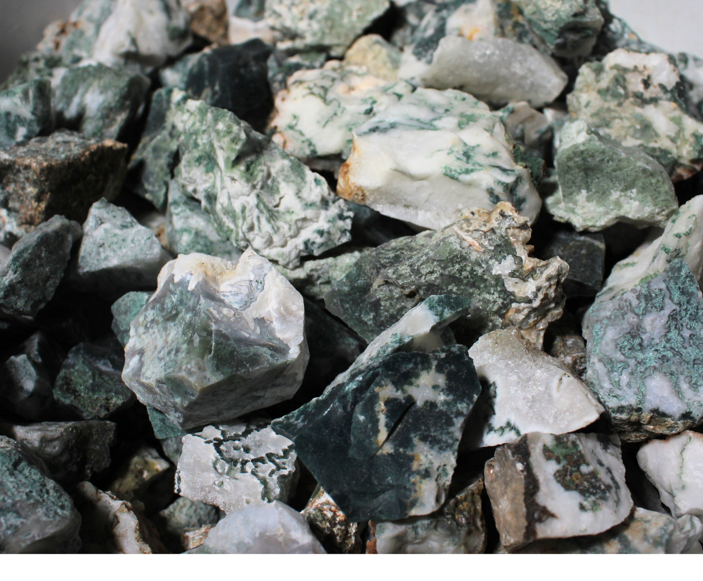 Tree Agate | Tumbling Rough