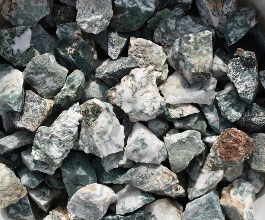 Tree Agate | Tumbling Rough