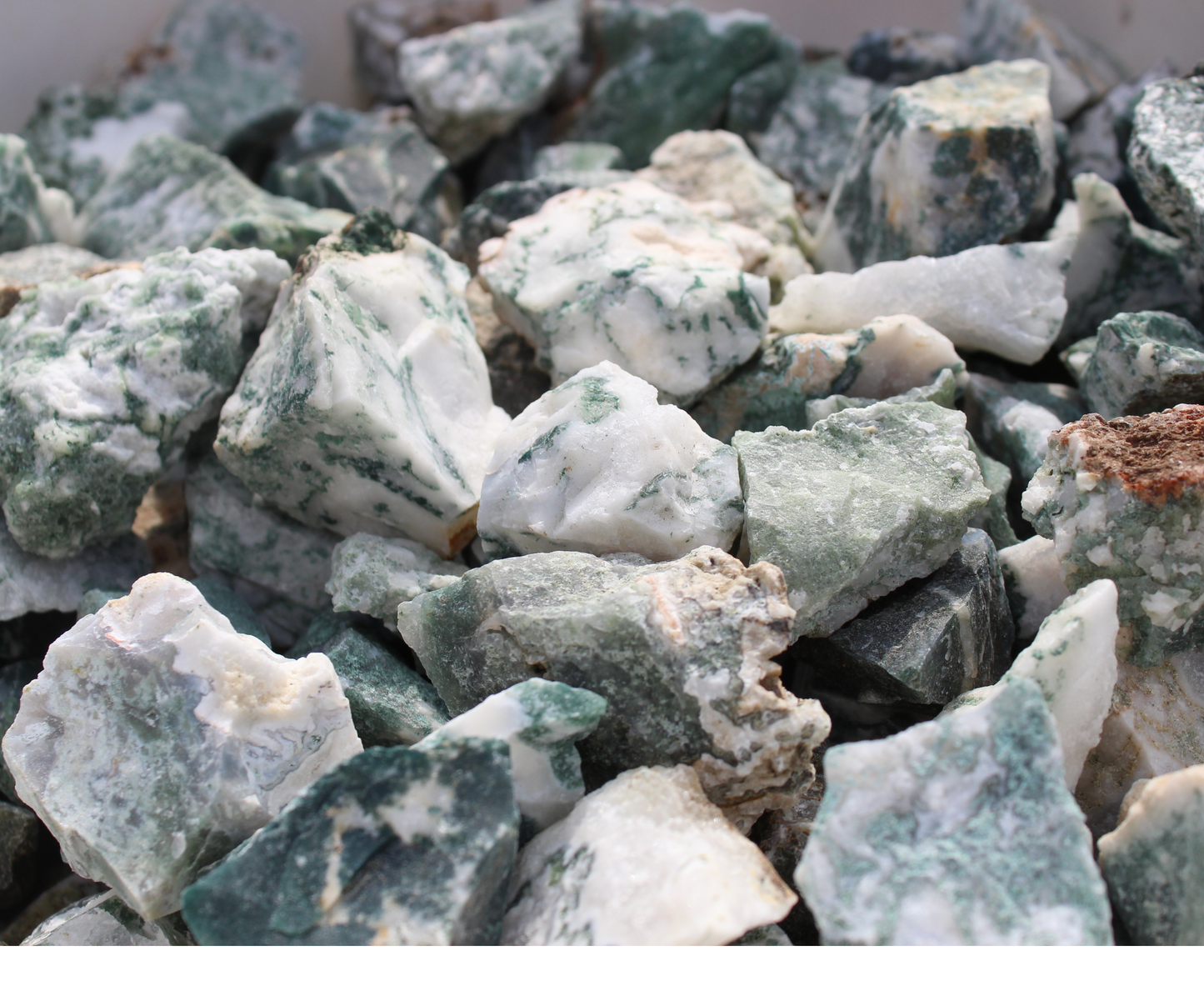 Tree Agate | Tumbling Rough