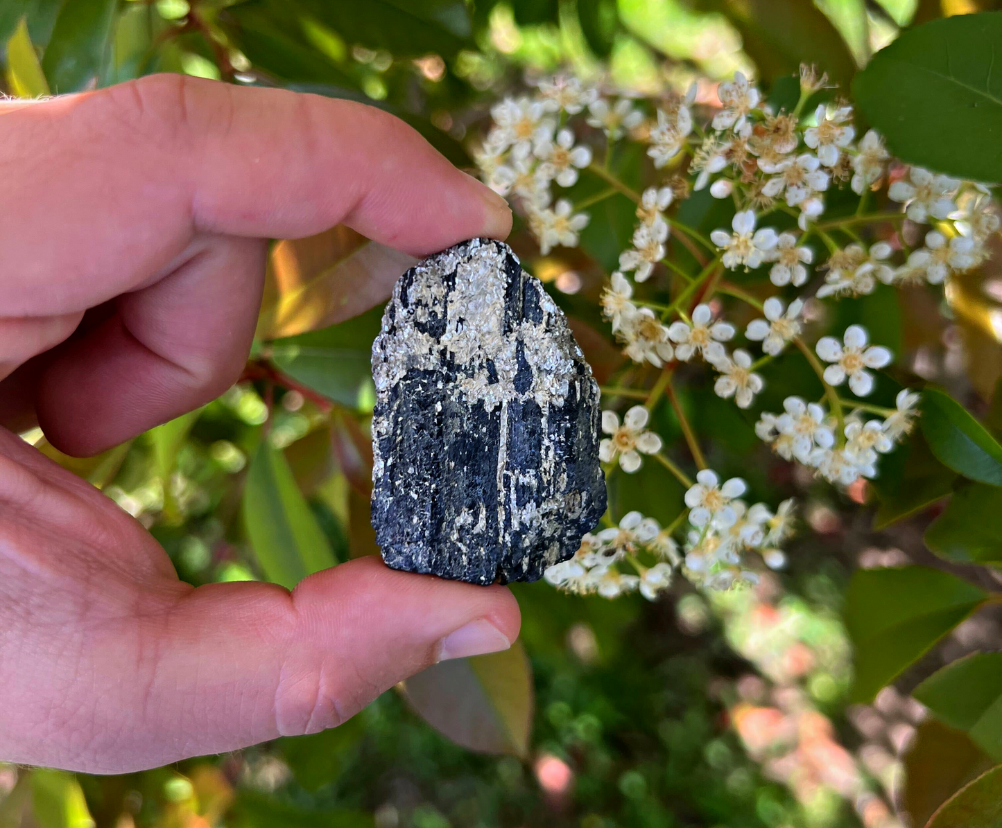 Black Tourmaline with Mica | Tumbling Rough