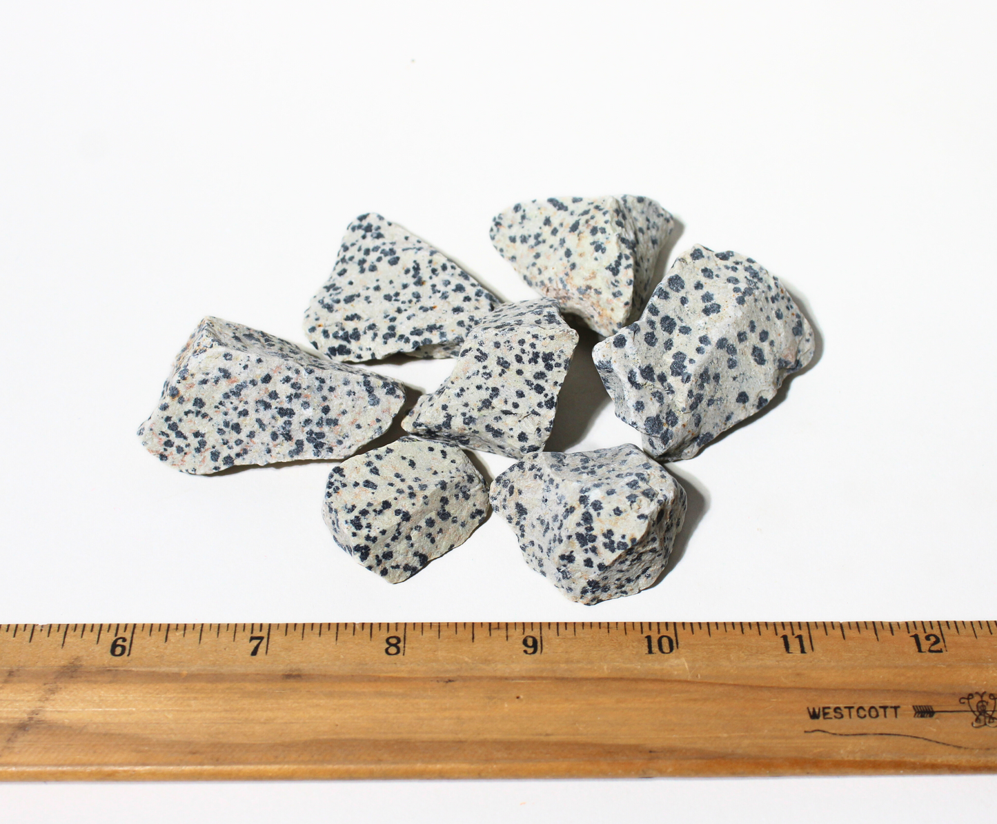 Dalmatian Jasper | Tumbling Rough