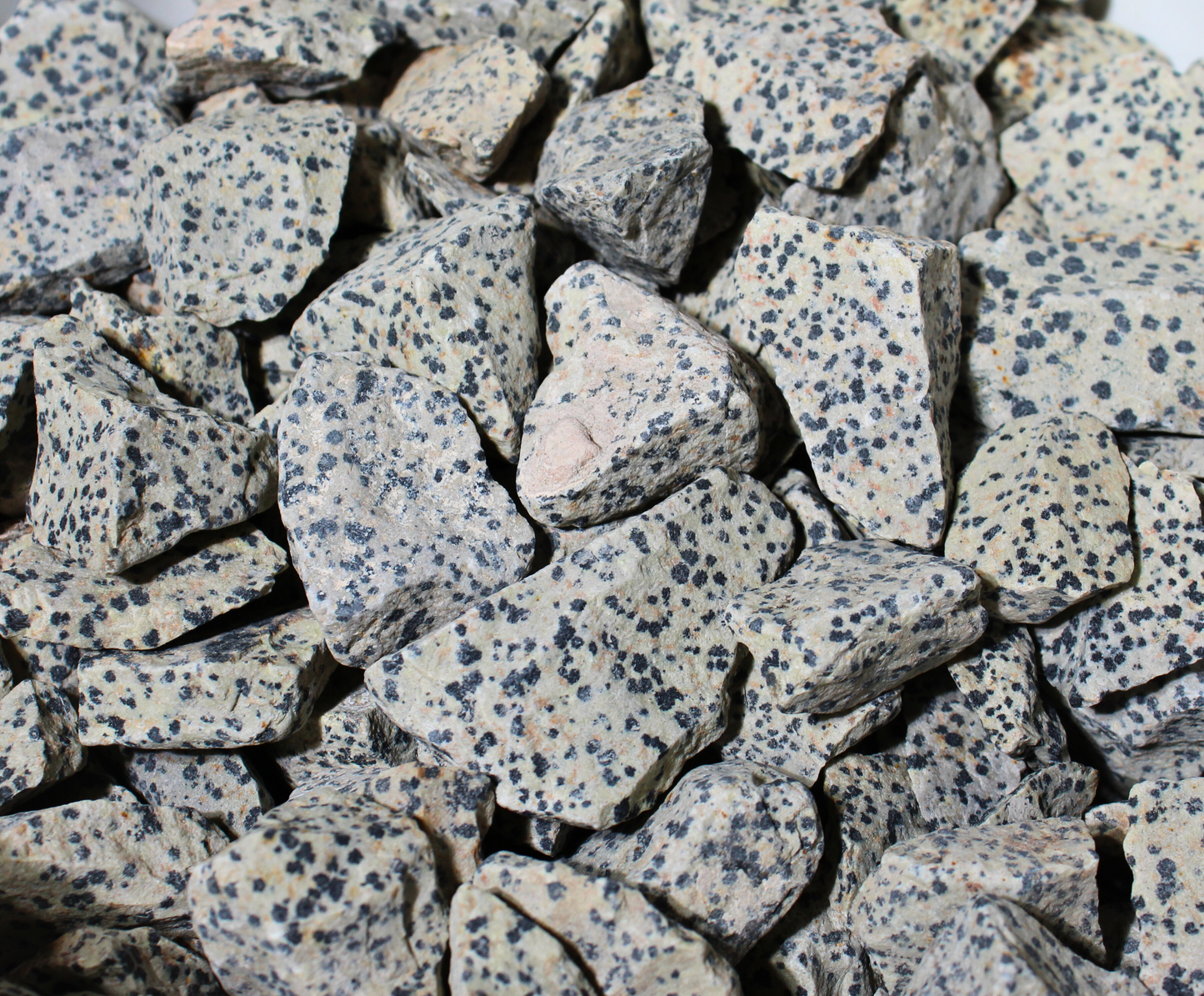 Dalmatian Jasper | Tumbling Rough