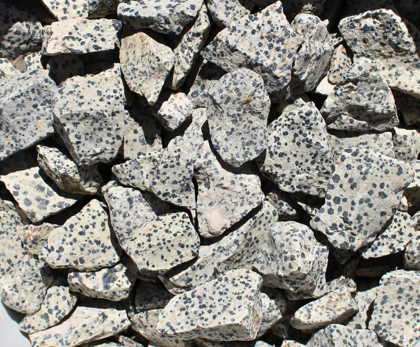 Dalmatian Jasper | Tumbling Rough