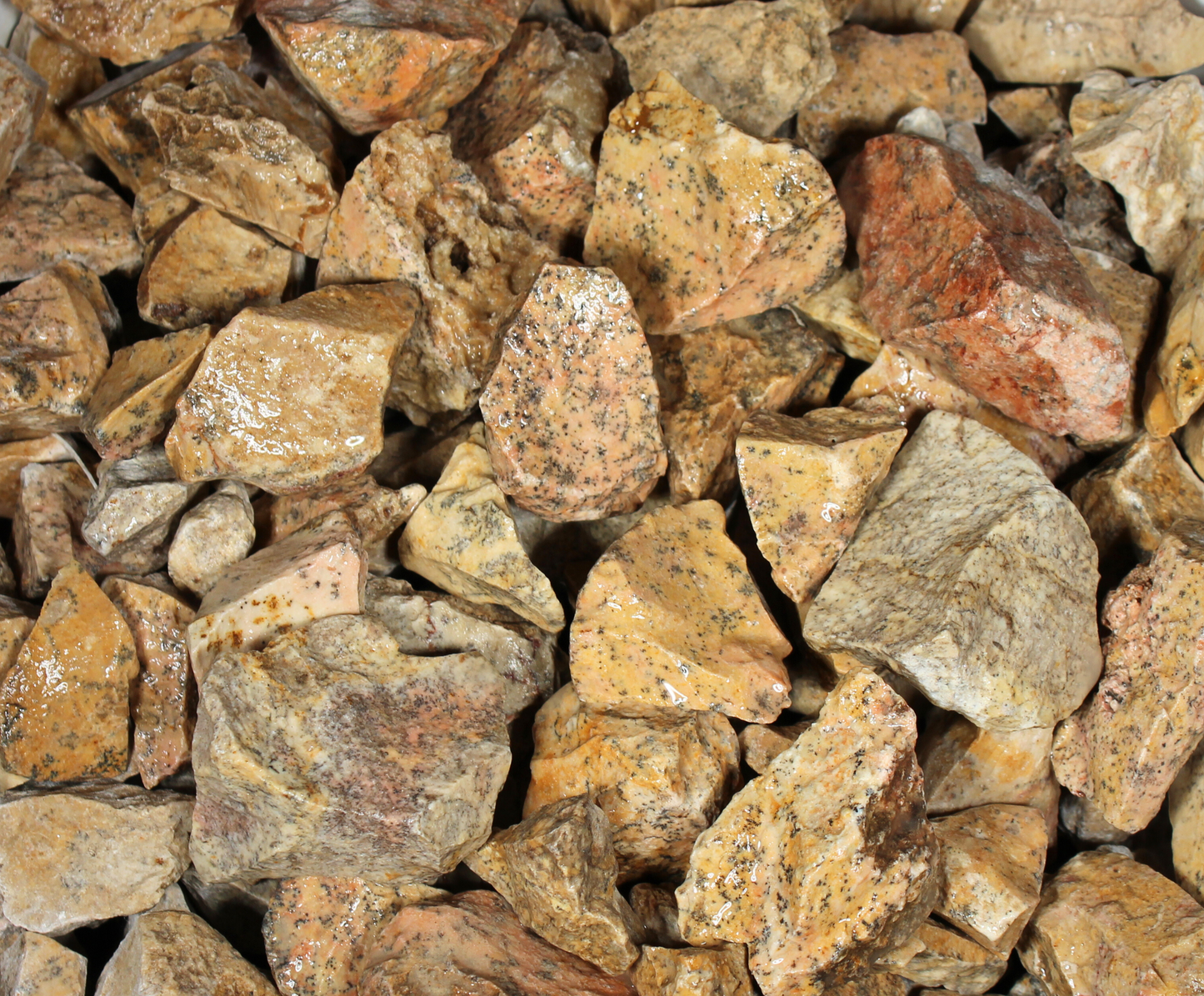 Dendrite Agate | Tumbling Rough