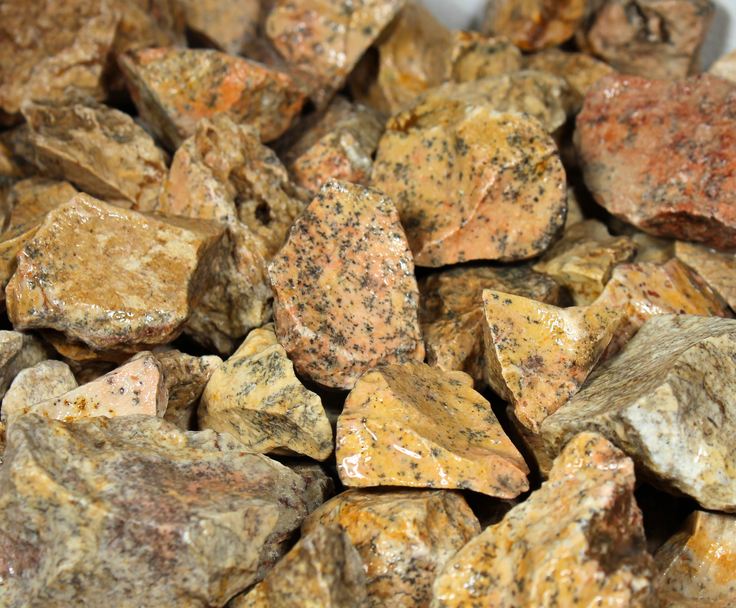 Dendrite Agates | Tumbling Rough