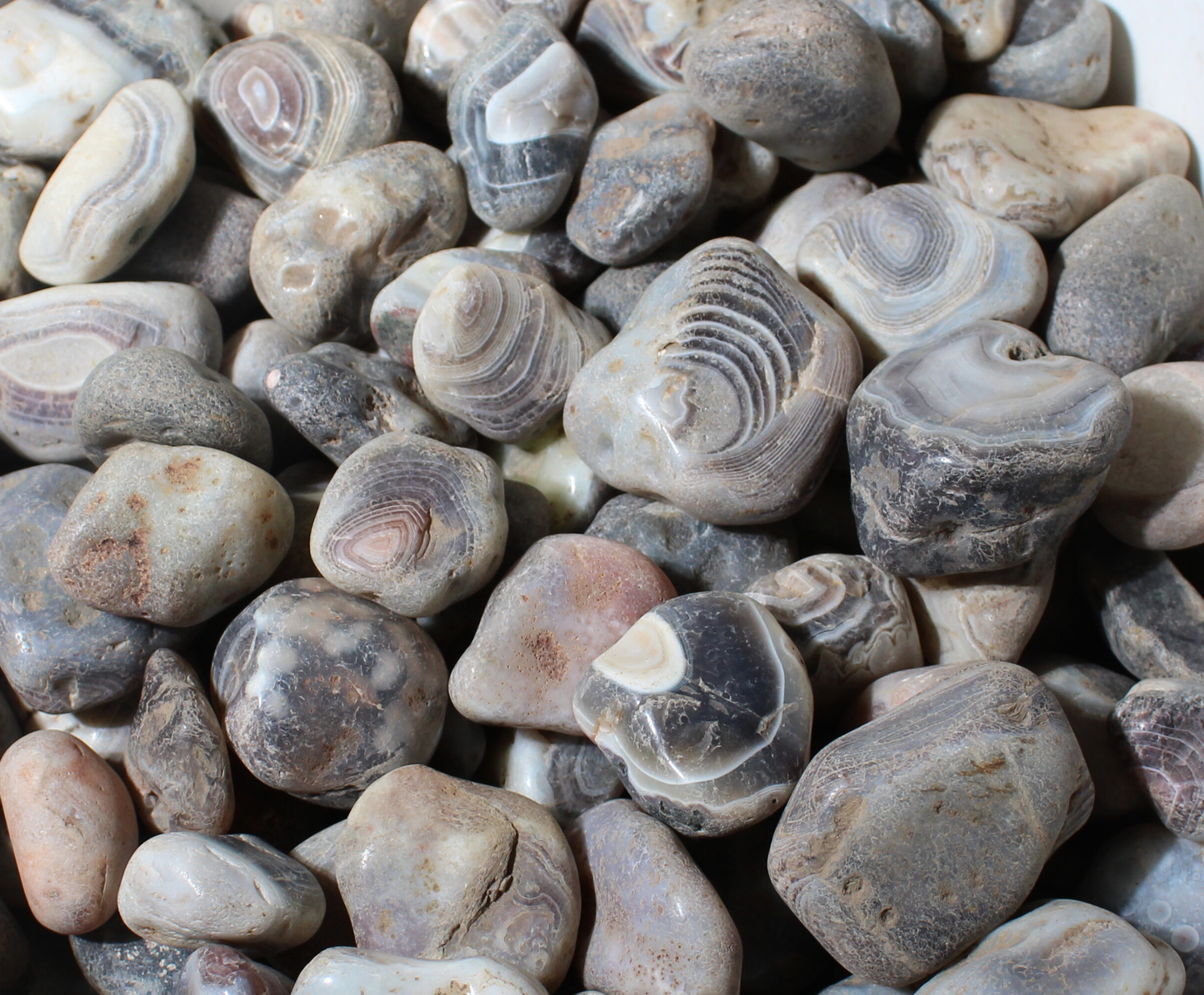 Gray Botswana Agate | Tumbling Rough