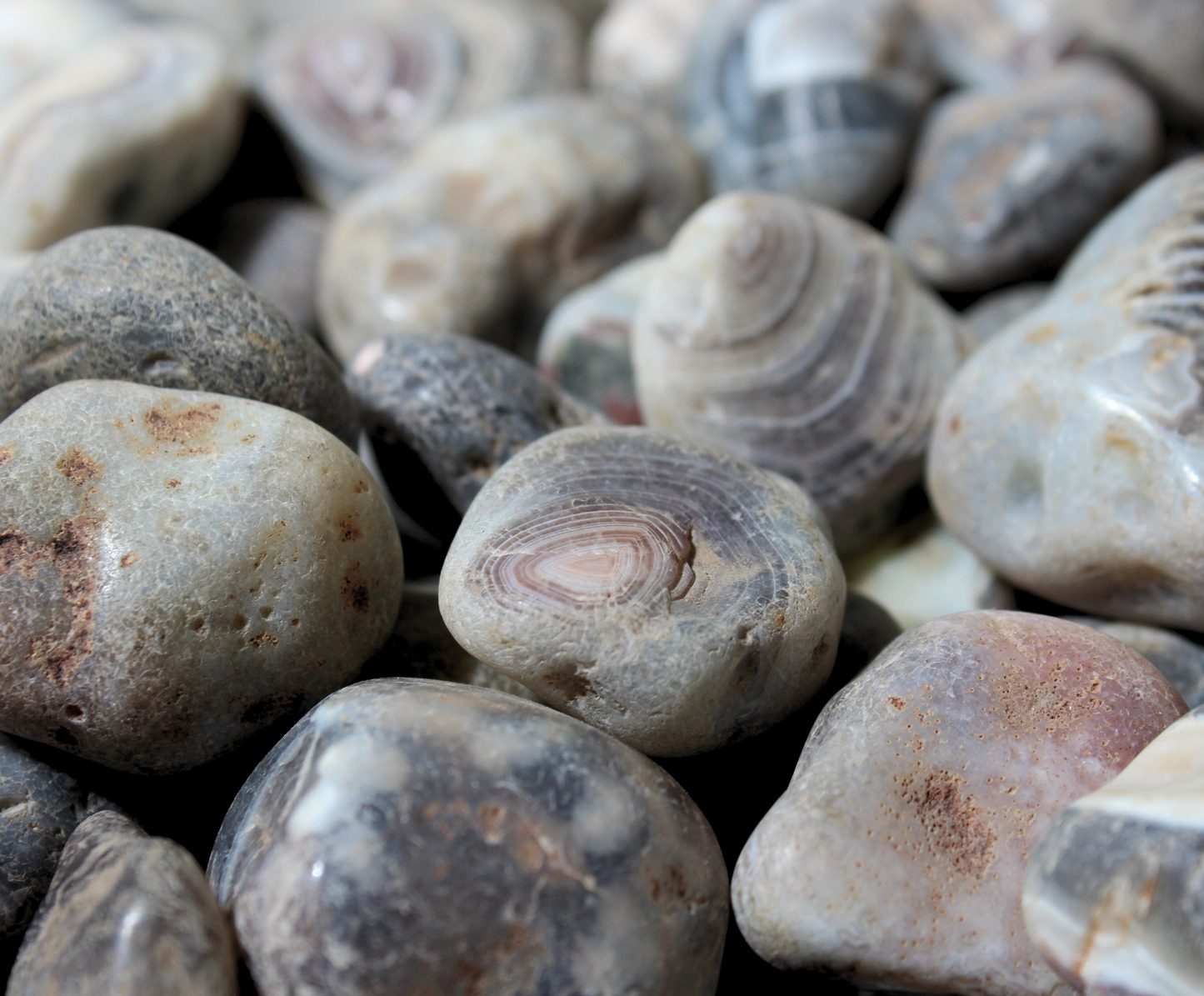 Gray Botswana Agate | Tumbling Rough
