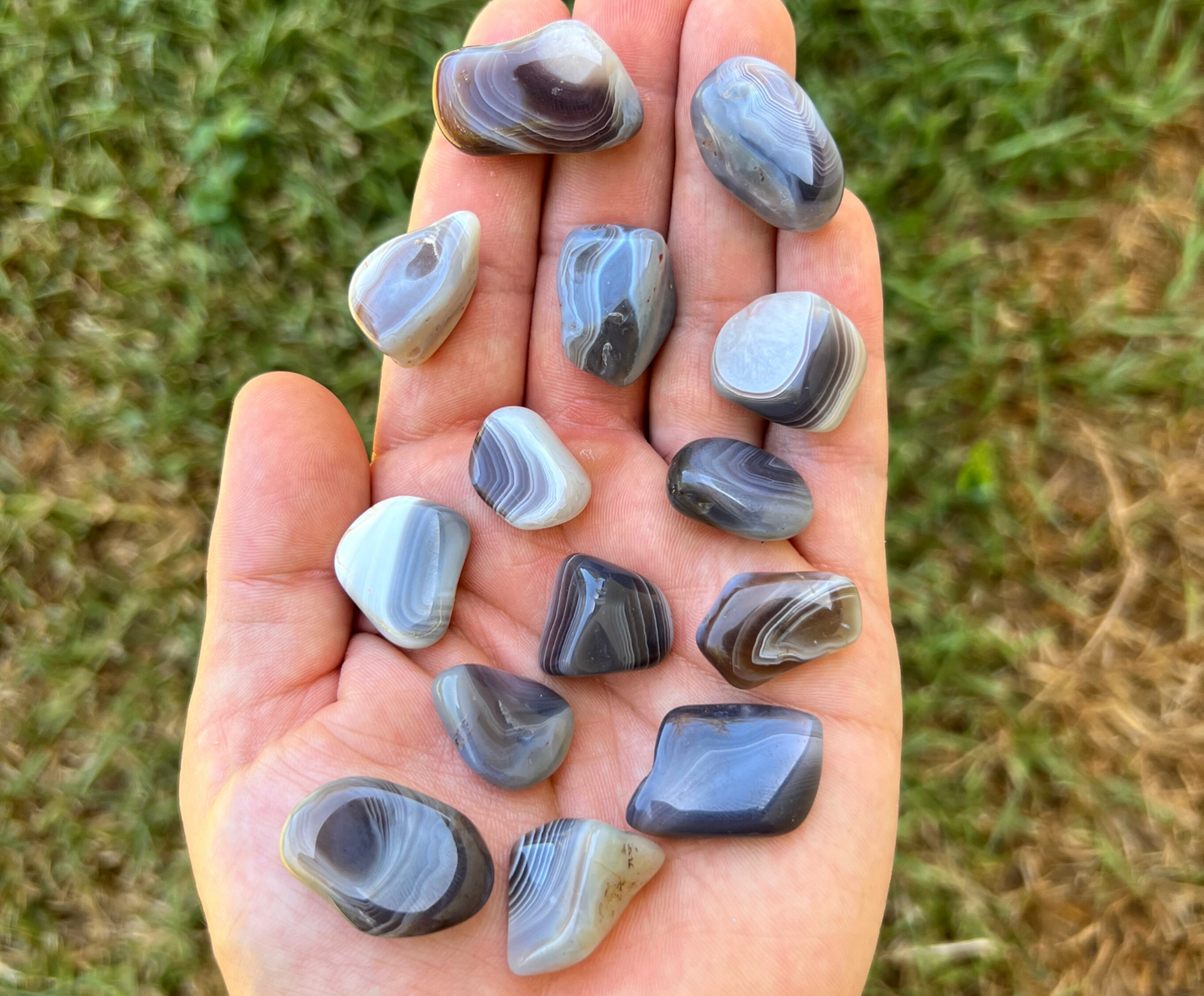 Gray Botswana Agate SM 0.5" - 1" - Tumbled Gemstones