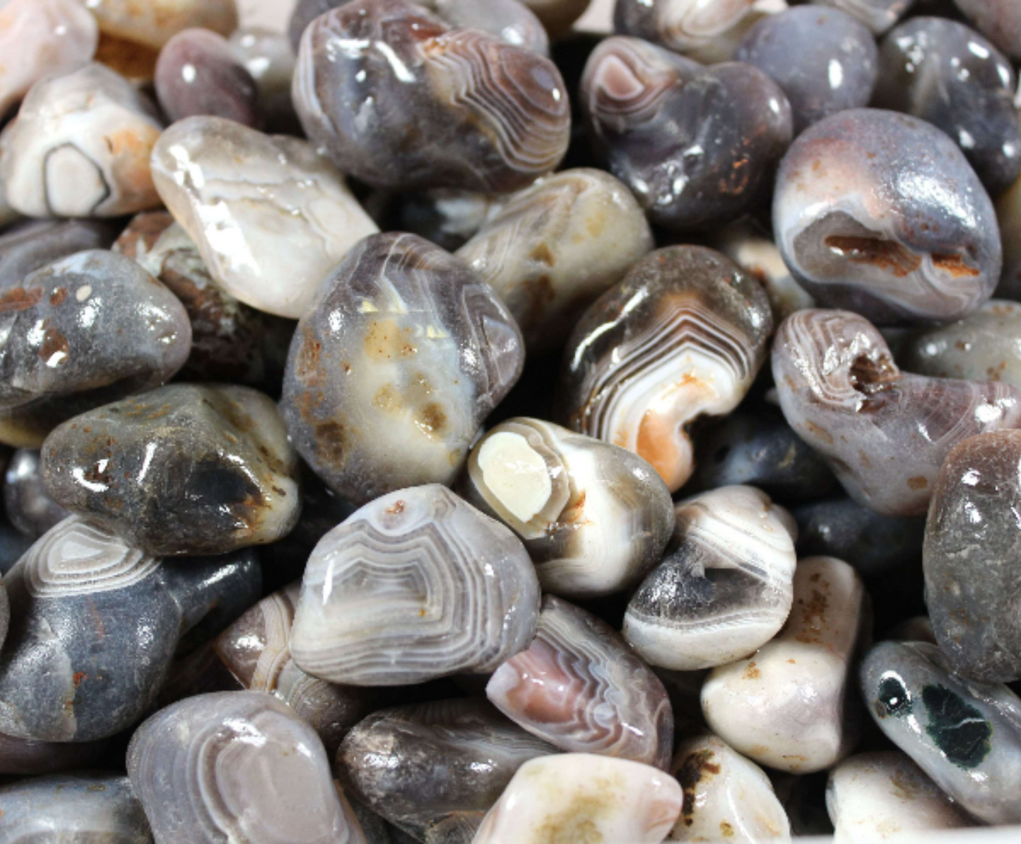 Gray Botswana Agate | Tumbling Rough