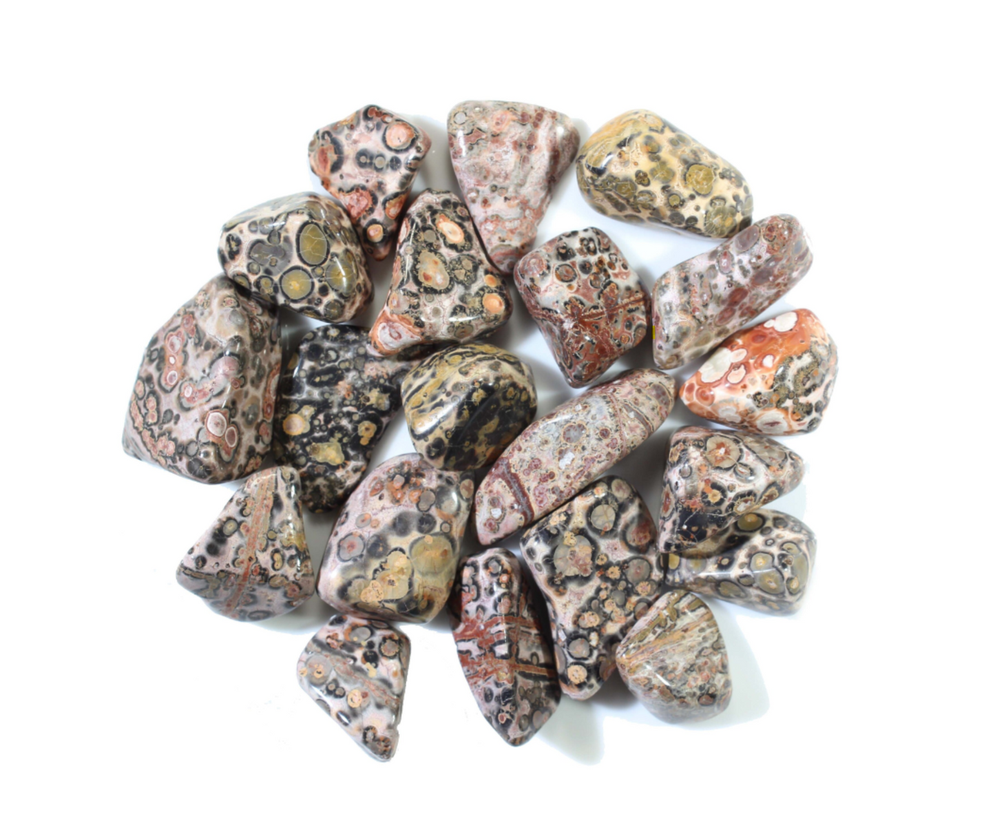 Leopard Skin Jasper - Tumbled Gemstones from Mexico