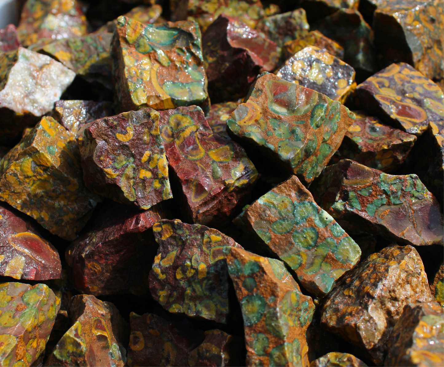 Leopard "Fruit" Jasper | Tumbling Rough