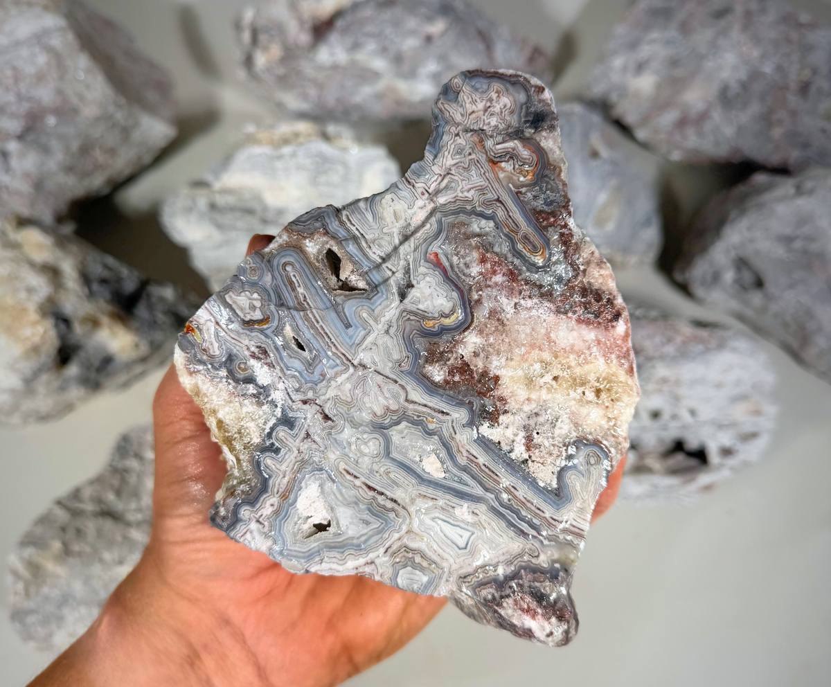 Manzanilla Lace Agate | Lapidary Rough