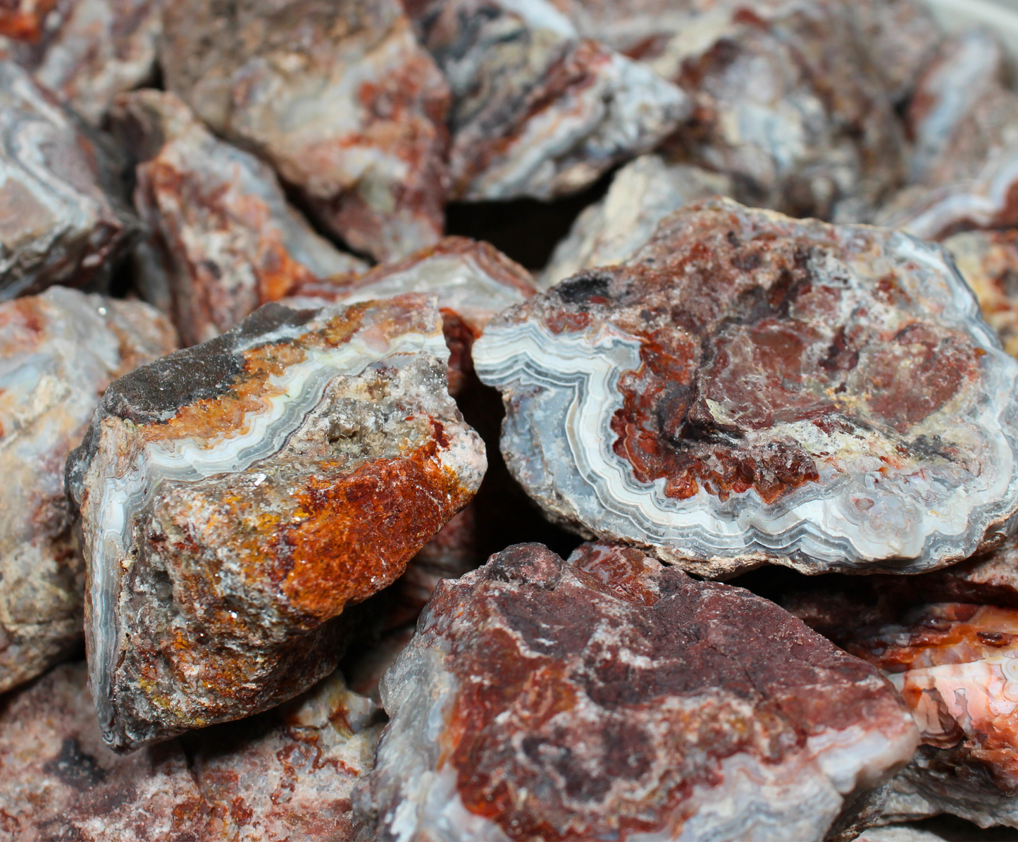Mexican Lace Agate | Tumbling Rough