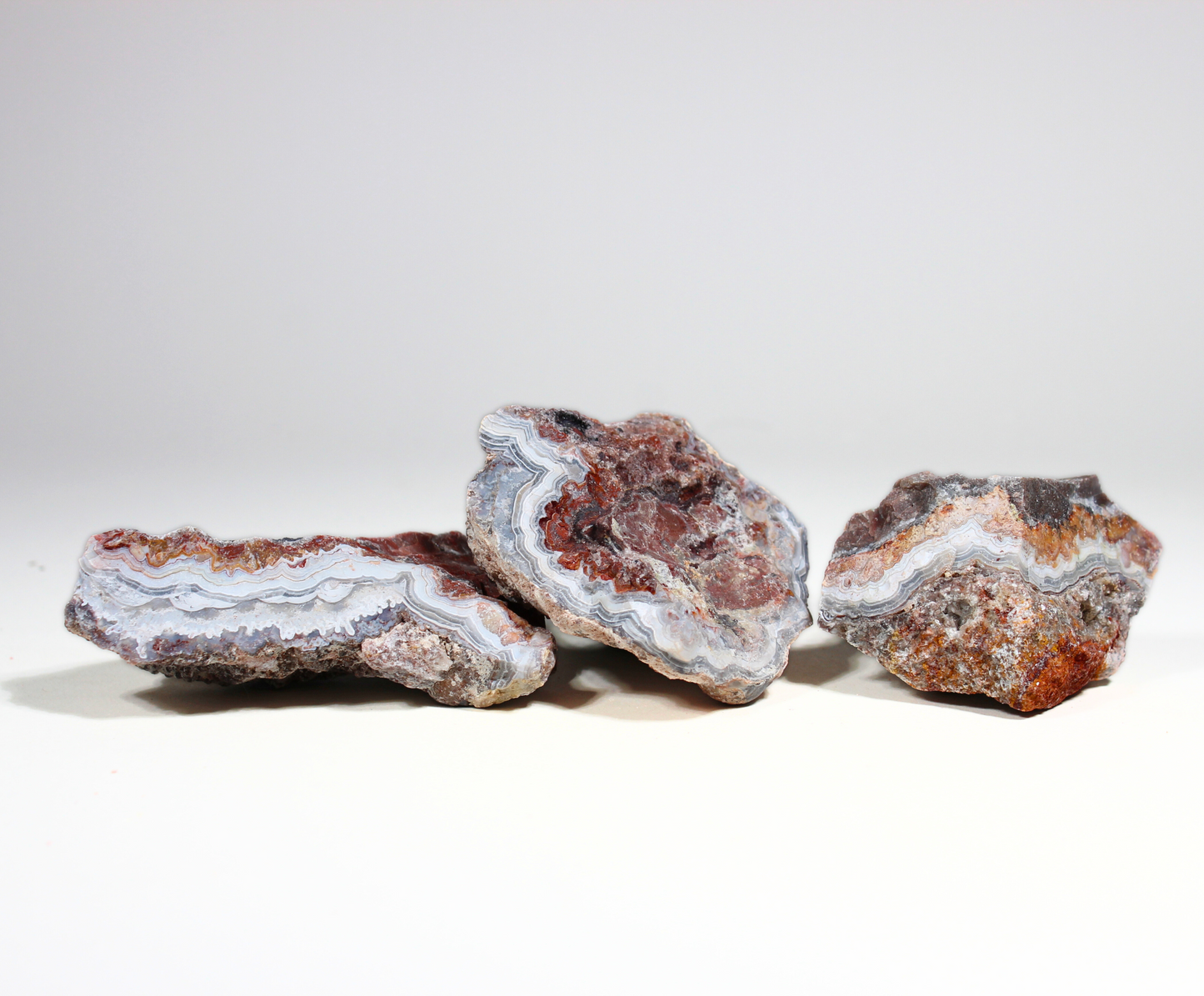 Mexican Lace Agate | Tumbling Rough