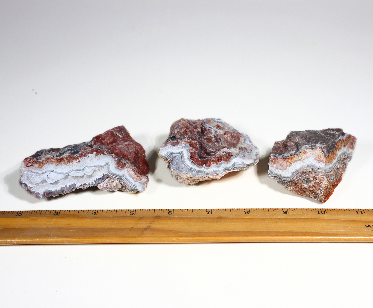 Mexican Lace Agate | Tumbling Rough