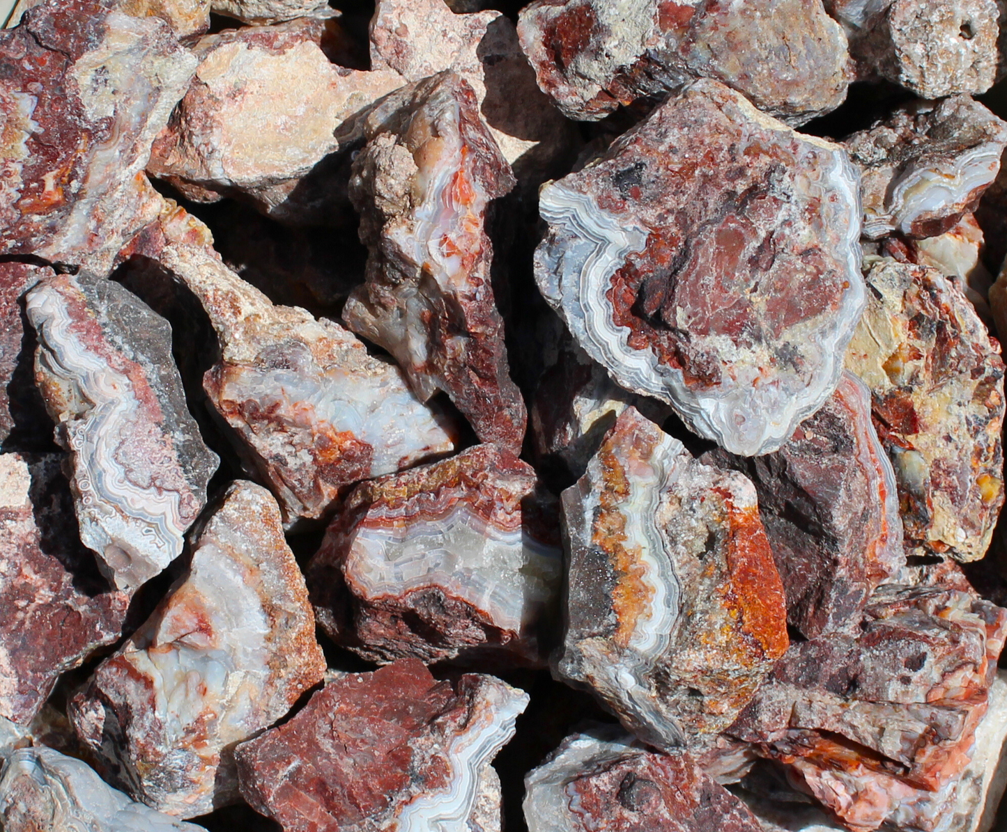 Mexican Lace Agate | Tumbling Rough