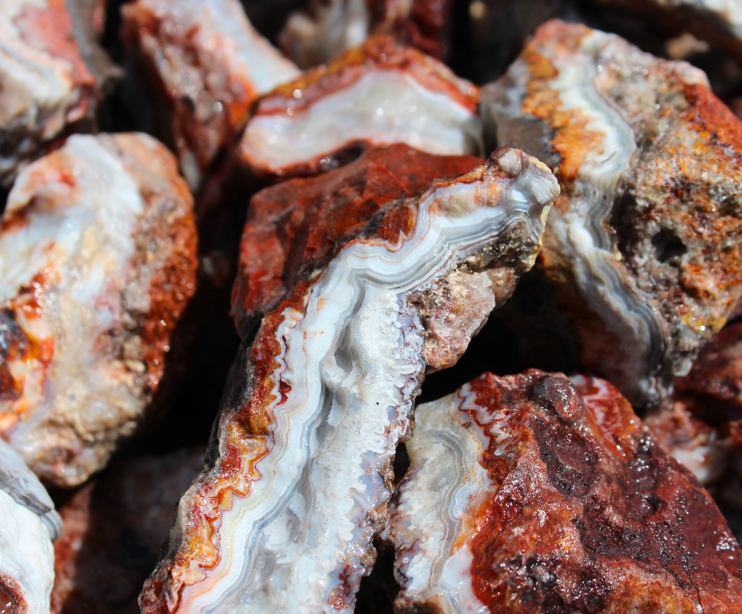 Mexican Lace Agate | Tumbling Rough