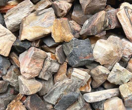 Petrified Wood | Tumbling Fossils from Madagascar | .75" - 1.75" Raw Minerals