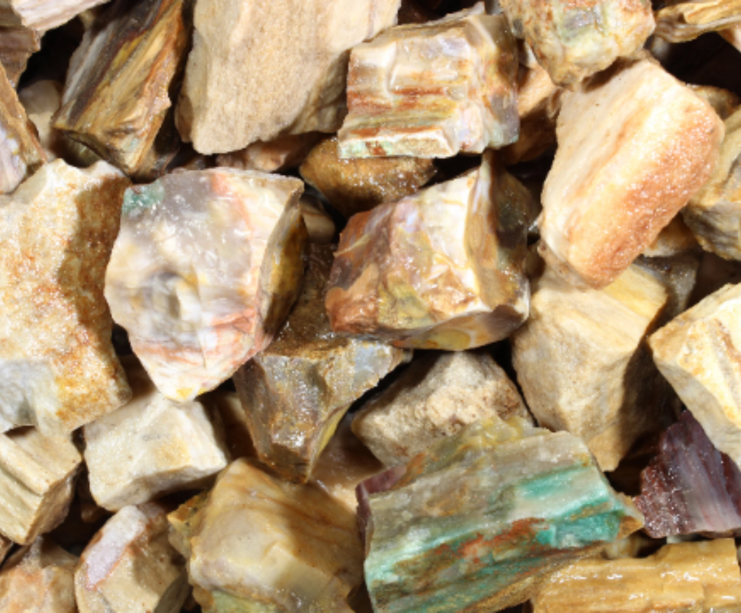 Petrified Wood | Tumbling Fossils from Madagascar | .75" - 1.75" Raw Minerals