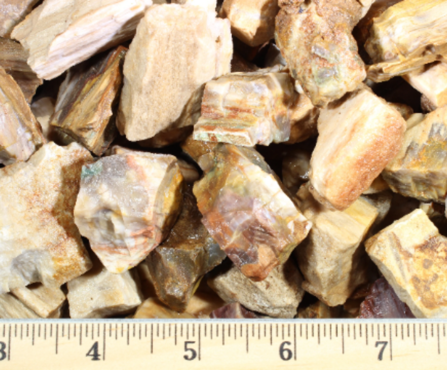Petrified Wood | Tumbling Fossils from Madagascar | .75" - 1.75" Raw Minerals